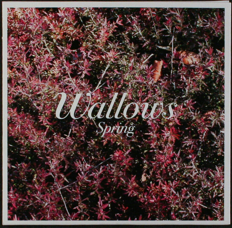 ALBUM REVIEW: Wallows // Spring EP