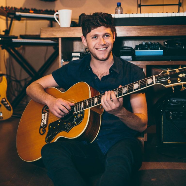 Niall Horan Embarks on Summer Tour