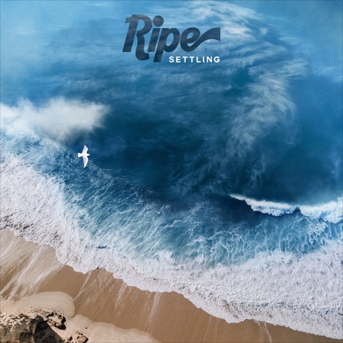 Ripe release jubilant new single “Settling” from upcoming album