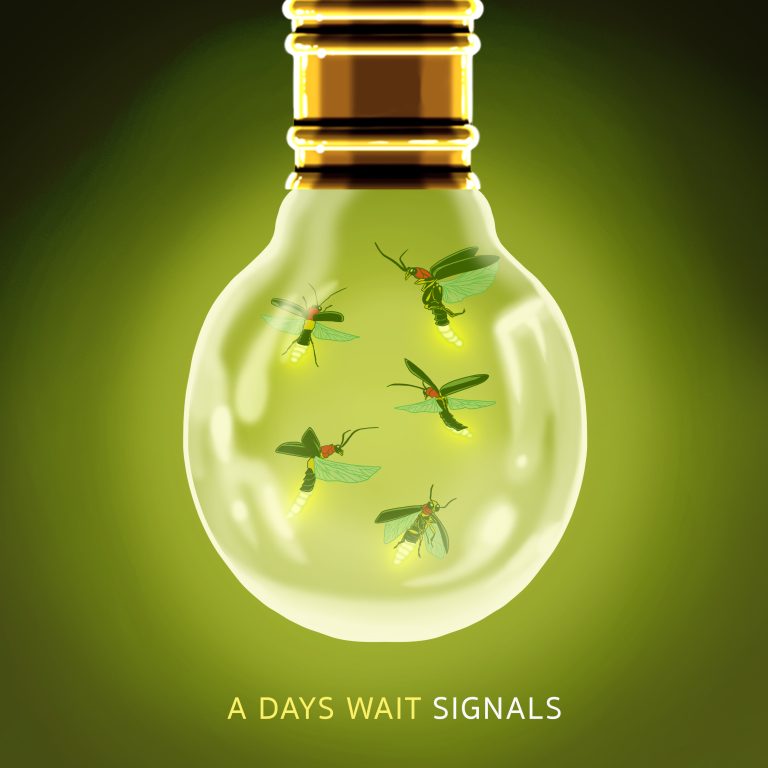 A Days Wait releases “Signals”