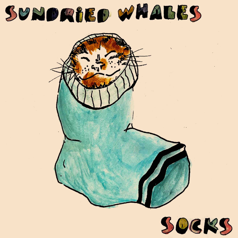 Sundried Whales navigate the aftermath on “Socks”