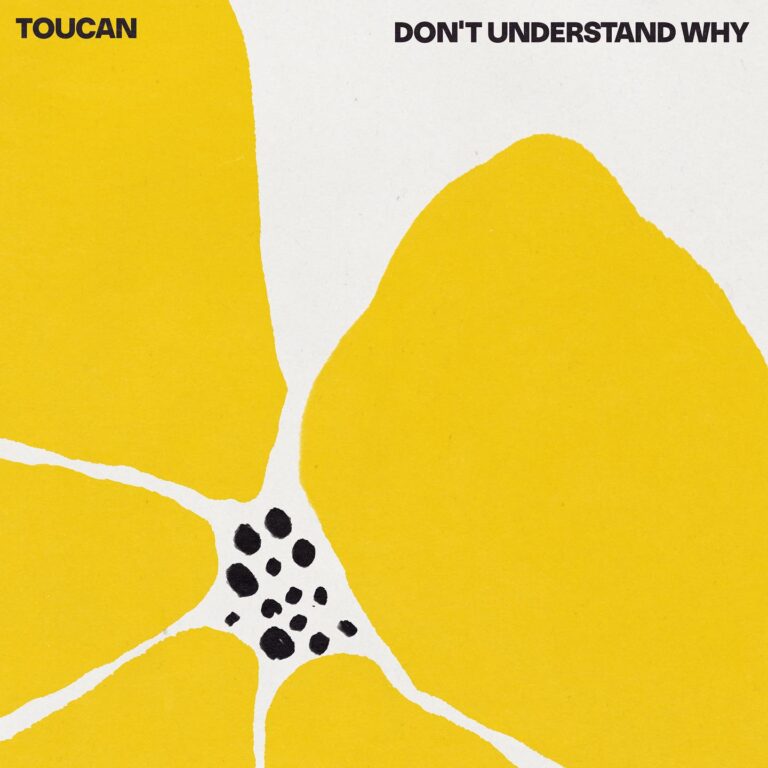 TOUCAN is here for a summer of love with ‘Don’t Understand Why’