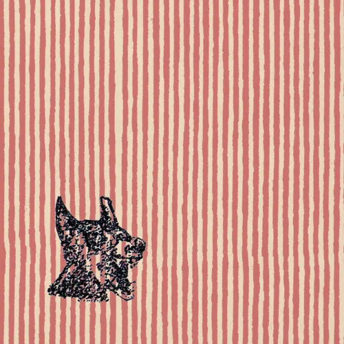 Dissonant & vulnerable: new single “wes anderson (your dog)” from boyhood.