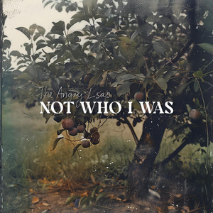 The Angry Lisas reflect on the past in “Not Who I Was”