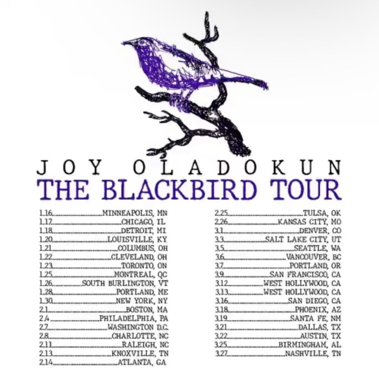 Joy Oladokun announces The Blackbird Tour across North America